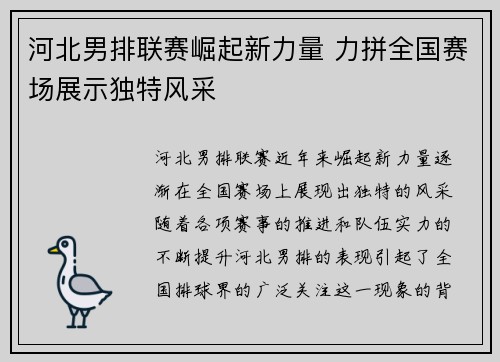 河北男排联赛崛起新力量 力拼全国赛场展示独特风采
